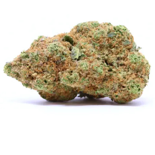 Échantillons Fleurs