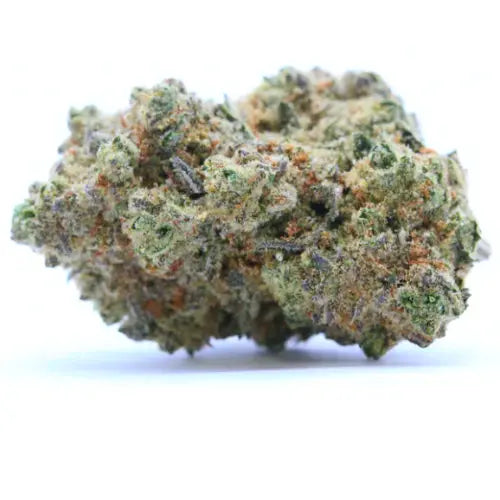 GORILLA GLUE